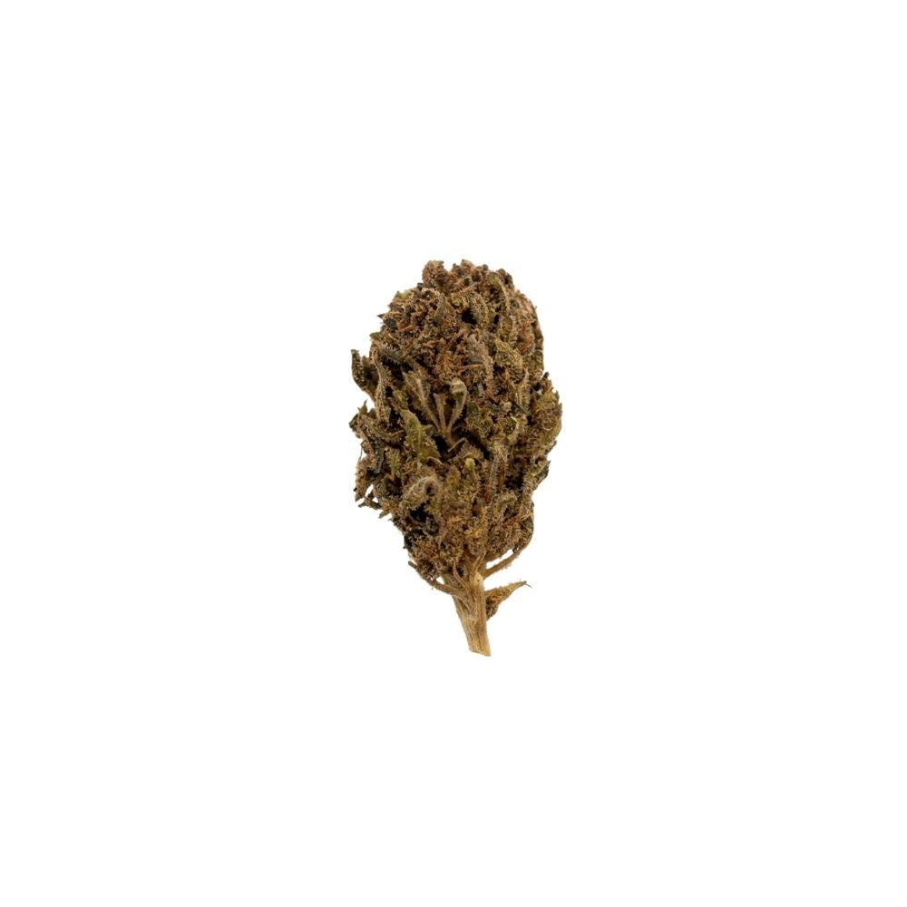 BLUEBERRY SOUR