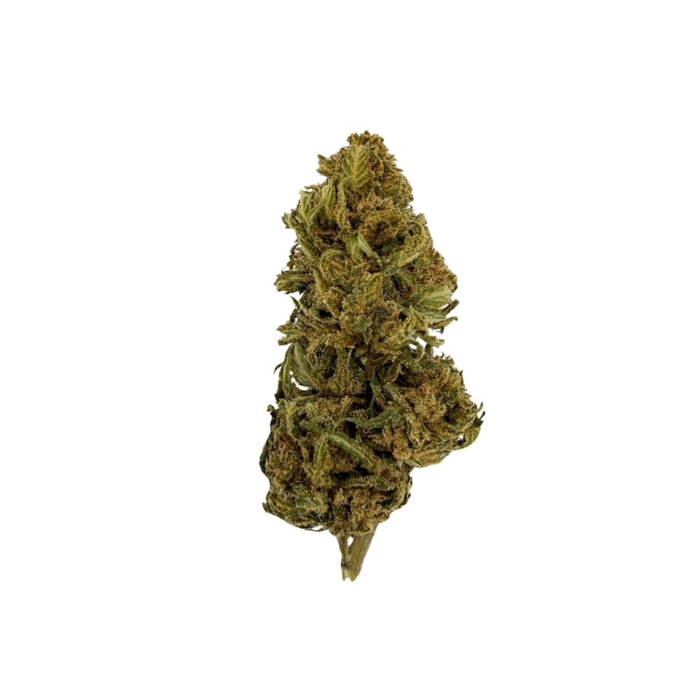 🎁 STRAWBERRY (100% off)