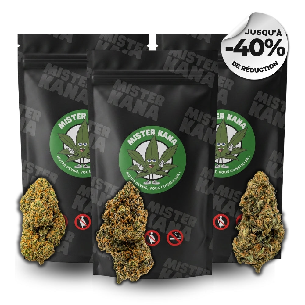 LE PACK PREMIUM