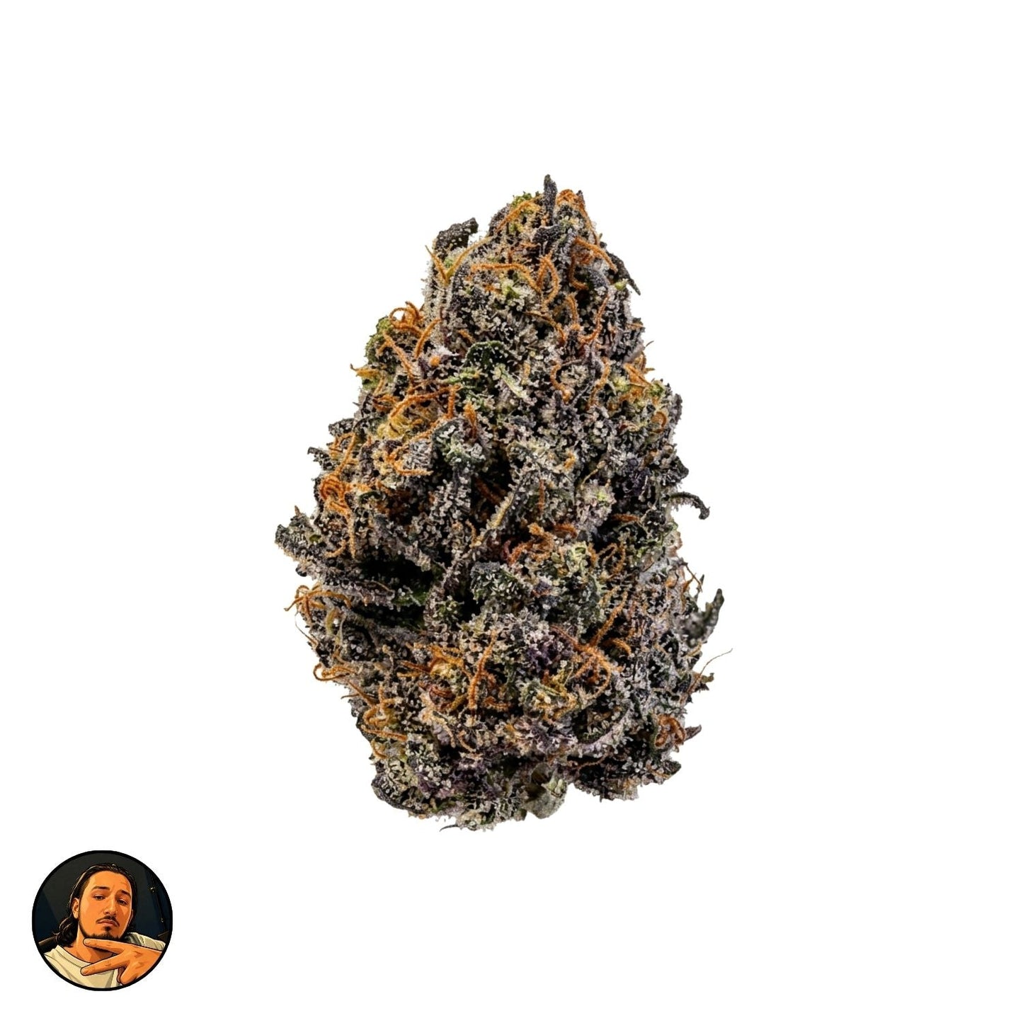 🎁 GAS GAZ (100% off)