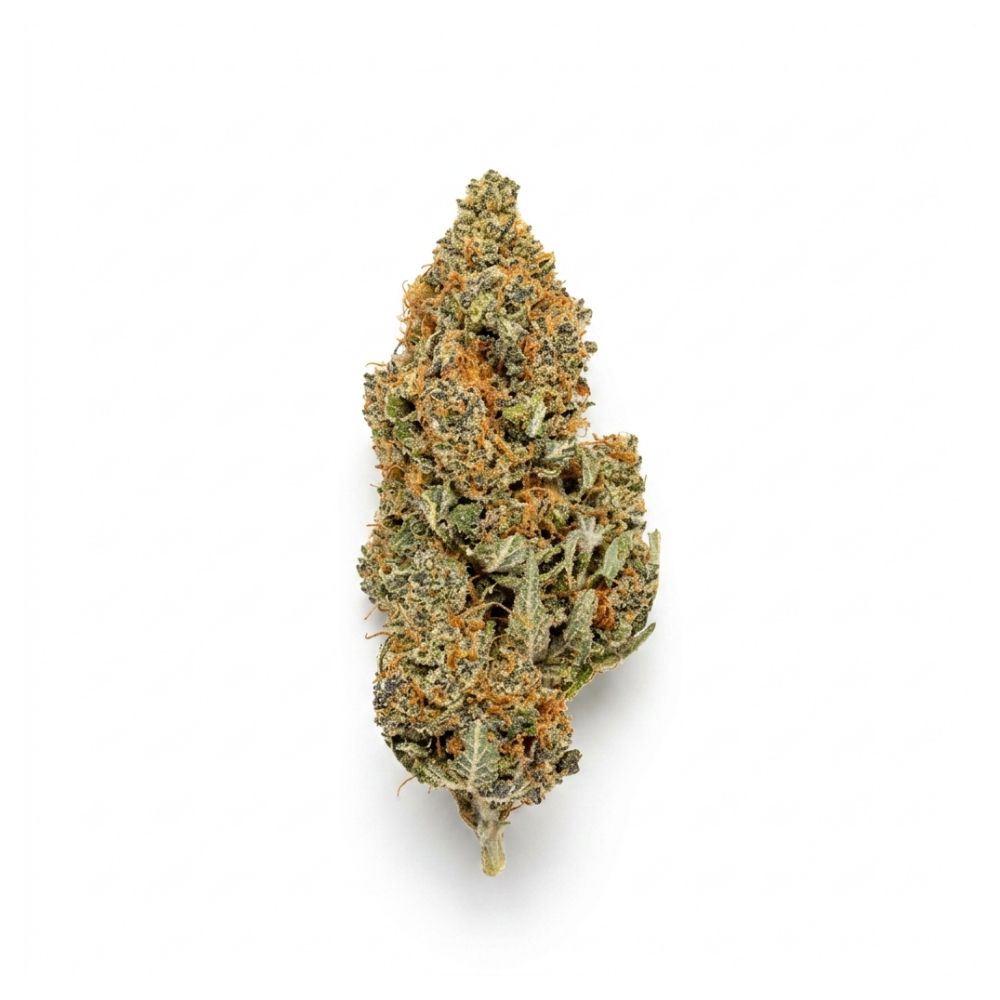RAINBOW SHERBET