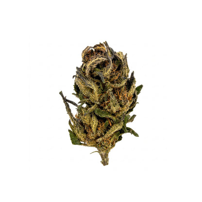 BLUEBERRY