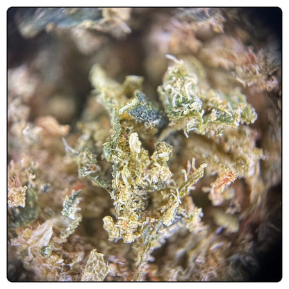 TRIM INDOOR