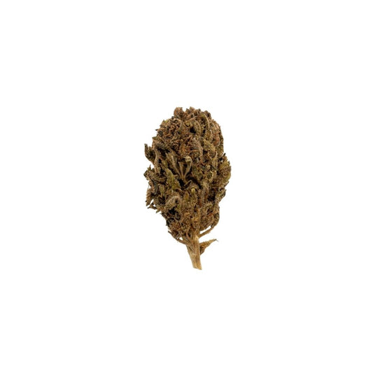 BLUEBERRY SOUR