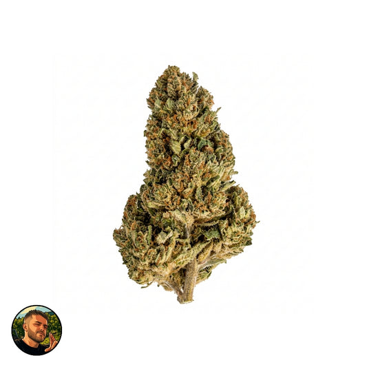 MIMOSA