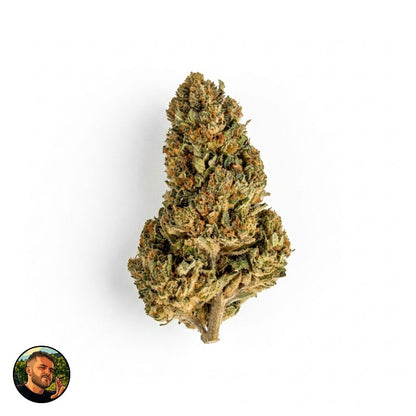 MIMOSA