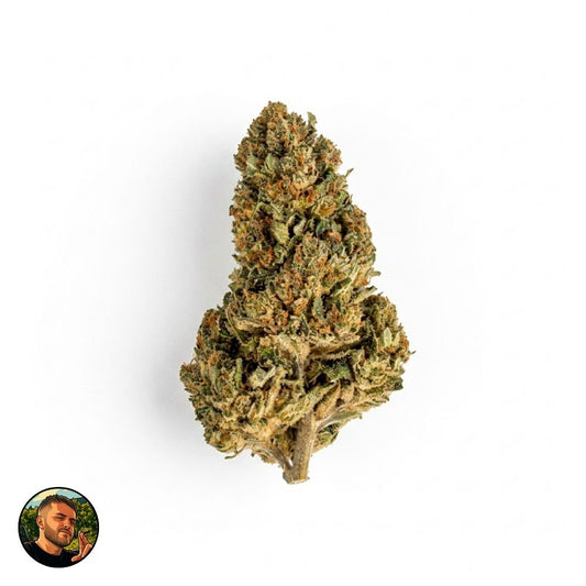 MIMOSA