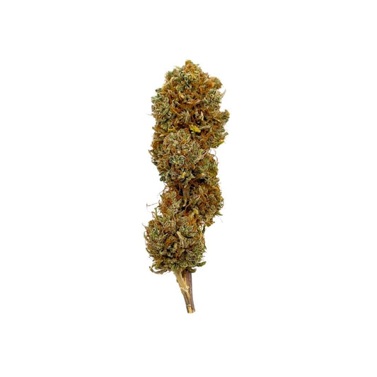 MUD BERRY