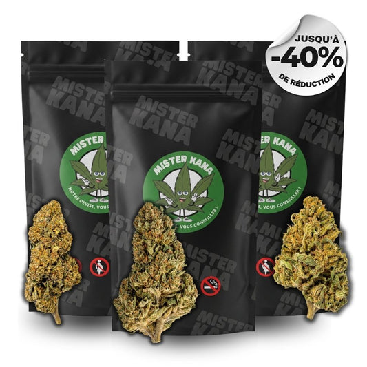 LE PACK MEDIUM