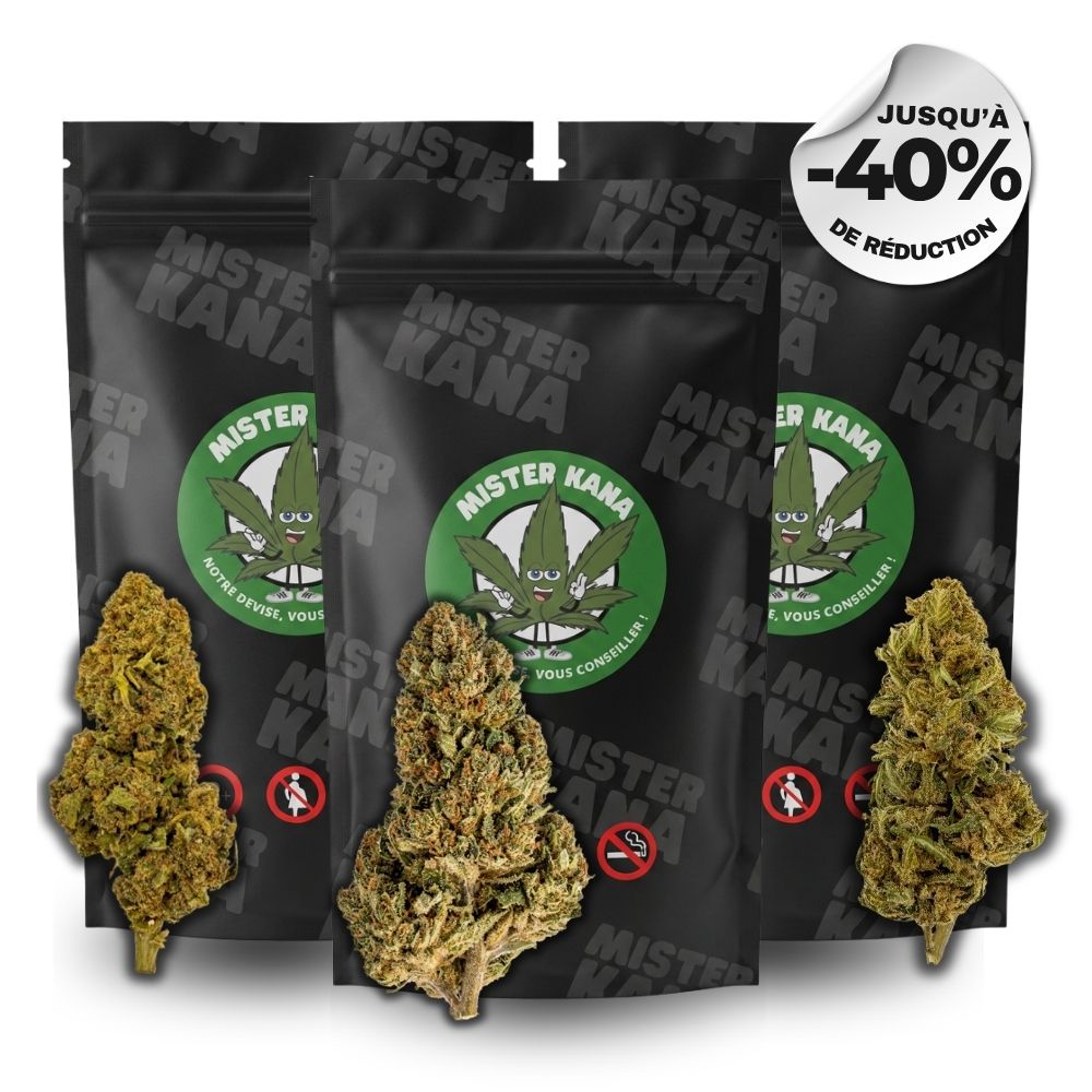 LE PACK MEDIUM