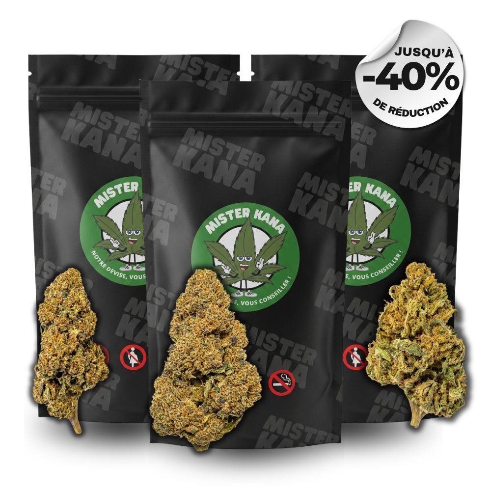 LE PACK MEDIUM