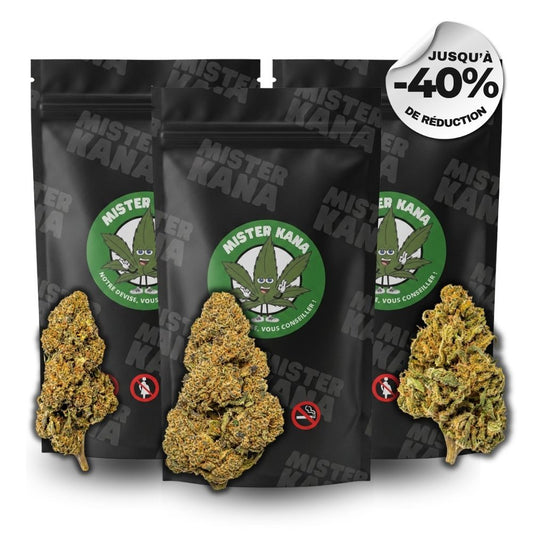 LE PACK MEDIUM