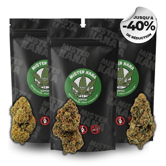LE PACK PREMIUM