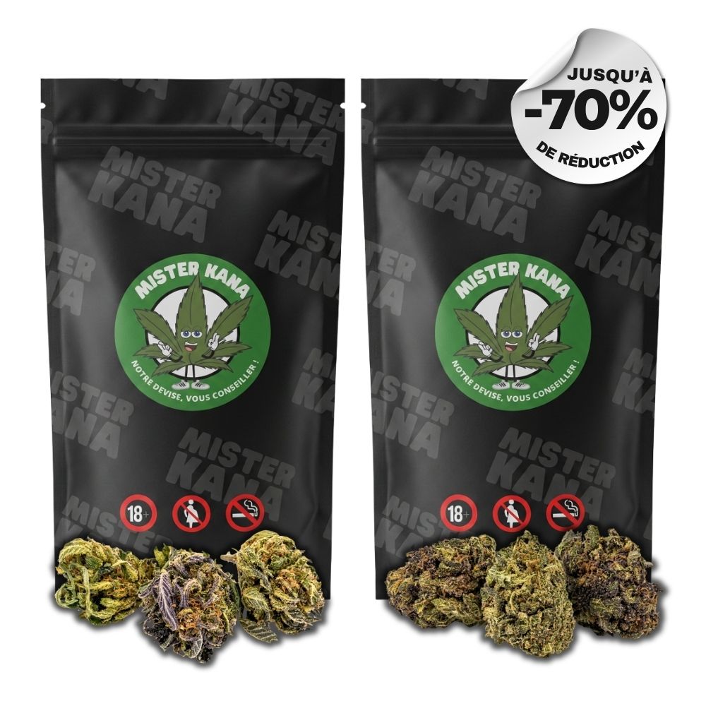 LE PACK SMART