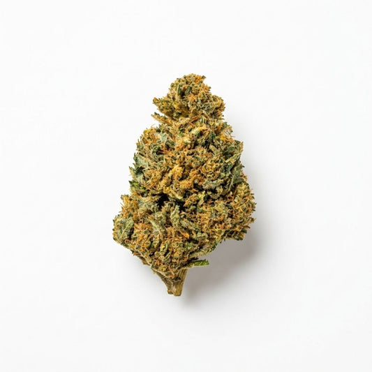 ORANGE BITTER