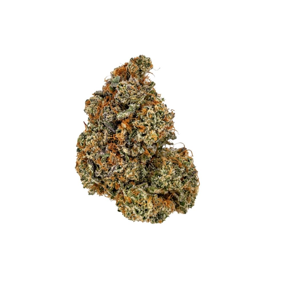 🎁 MARACUJA (100% off)