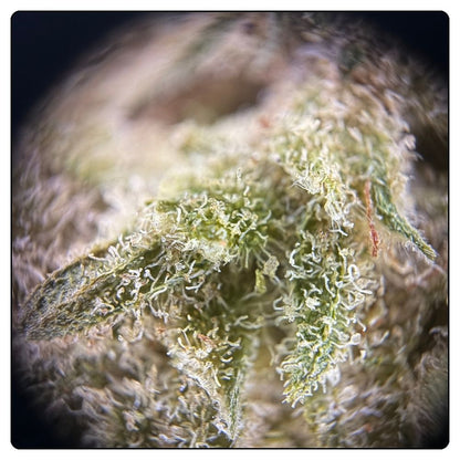 CHERRY PIE