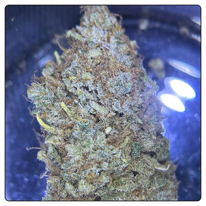 SWEET BERRY