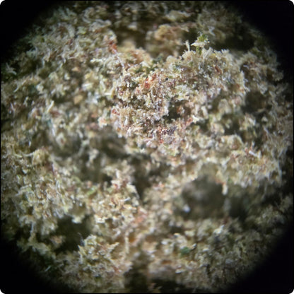 PEACH KUSH