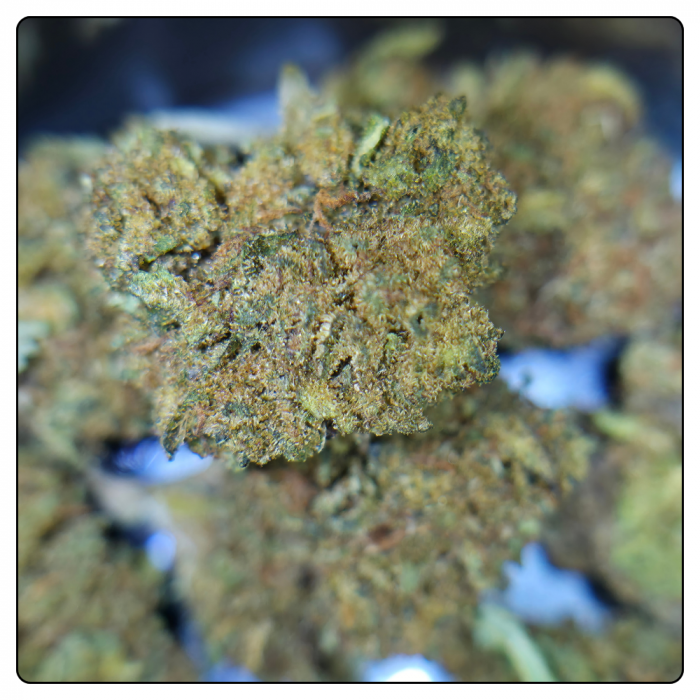 CANNATONIC – Image 2