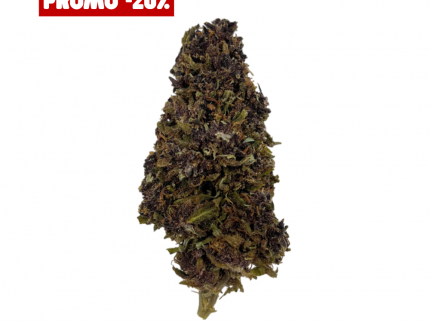 PURPLE RUNTZ