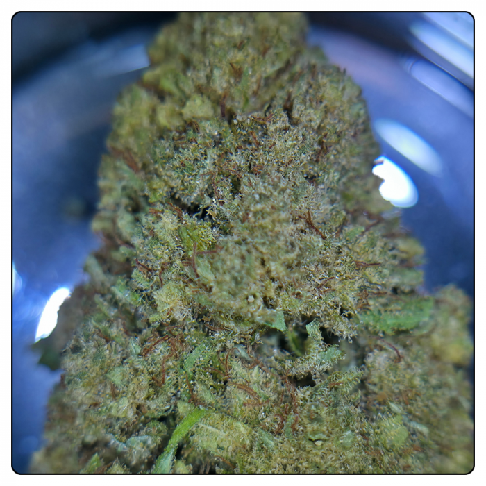 CHERRY PIE – Image 2