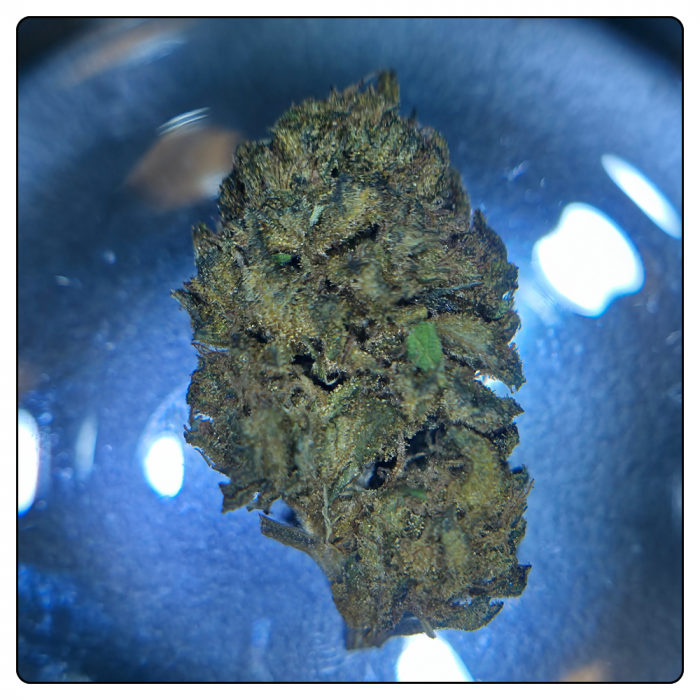 RASPBERRY – Image 2
