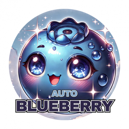 BLUEBERRY AUTO