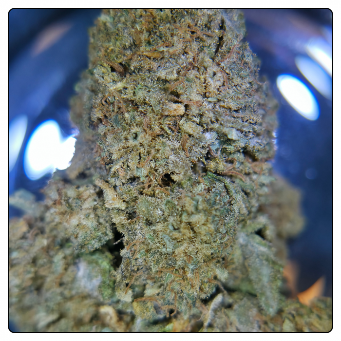 wedding cake by skud farm sur misterkana.fr