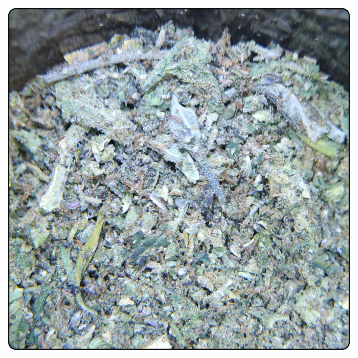 TRIM INDOOR – Image 2