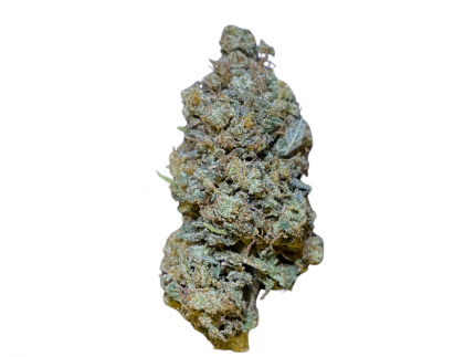 TANGIE KUSH