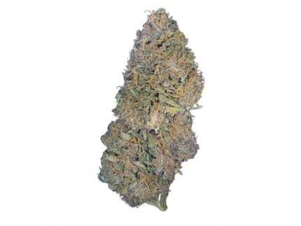 LEGENDARY OG