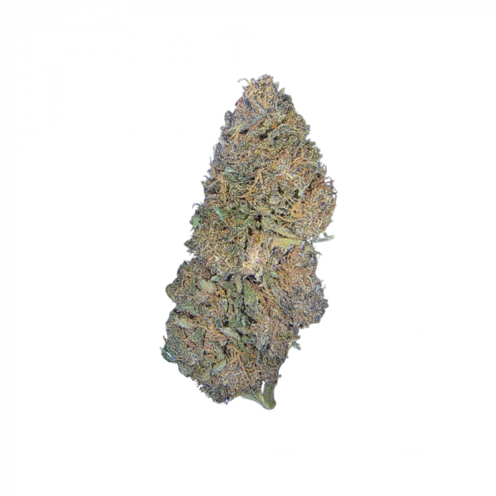 LEGENDARY OG