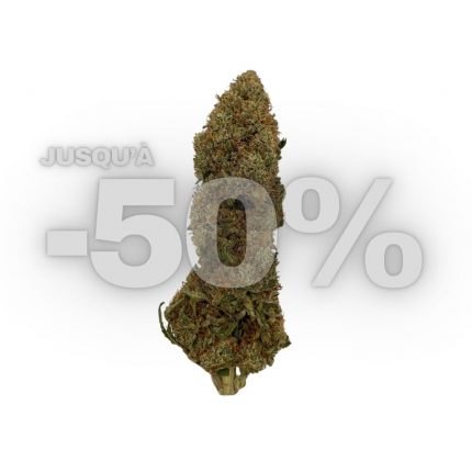 STRAWBERRY DOUGHNUTS