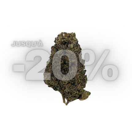 BLUE CHEESE