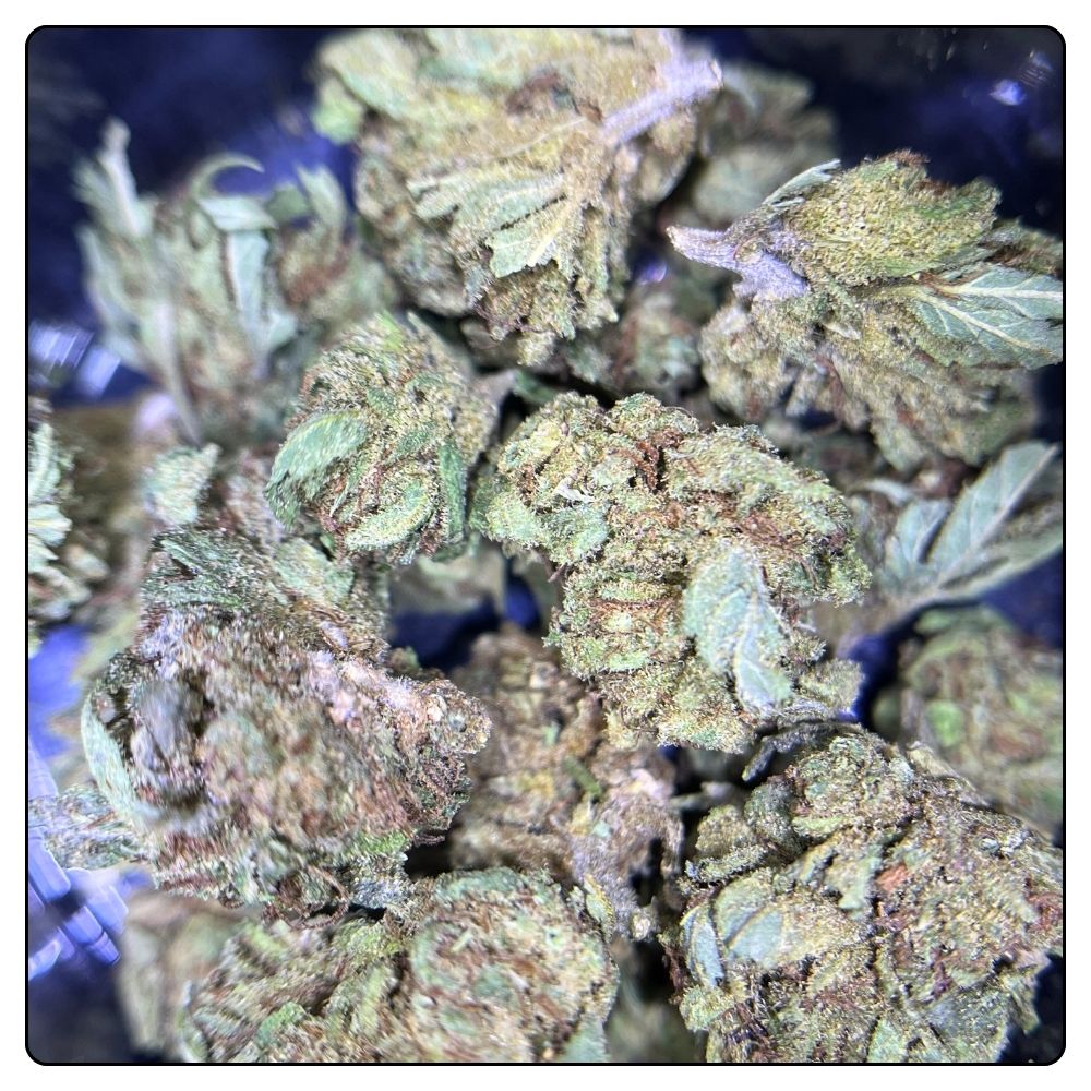 LEMON POP – Image 2