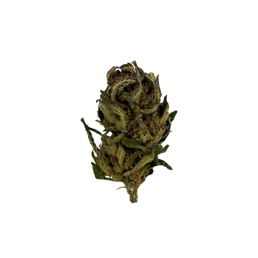 BLUEBERRY